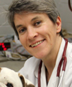 Nicola Mason BVetMed, PhD, DACVIM (Internal Medicine), FCPP, MRCVS