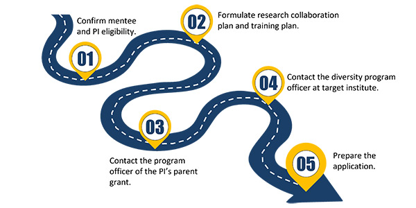 Application Development steps infographic