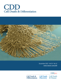 Characterizing the Regulatory Fas (CD95) Epitope Critical for Agonist Antibody Targeting and CAR-T Bystander Function in Ovarian Cancer