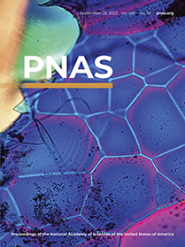 Engineered Bone Marrow as a Clinically Relevant ex vivo Model for Primary Bone Cancer Research and Drug Screening