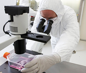 Stem cell researcher looks through microscope.