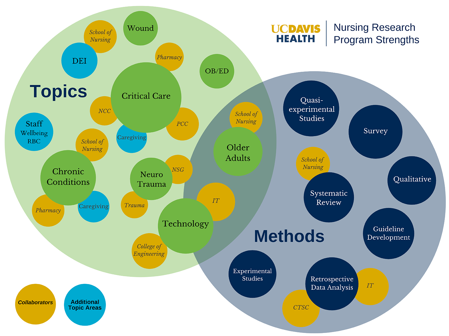 Nursing research Program strengths