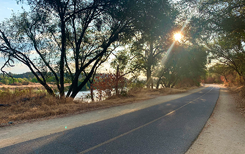 American River Bike Trail