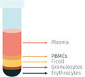 Fluid Processing and Storage