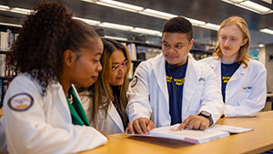 HEAL Scholarship Opportunities