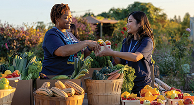 Volunteers at a farm