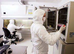 scientists extracting cord blood