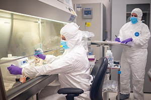 stem cell researchers in the lab