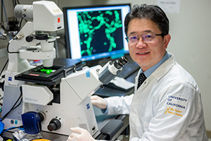 Aijun Wang, Ph.D.