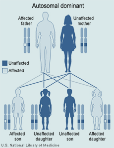 Autosomal dominant diagram