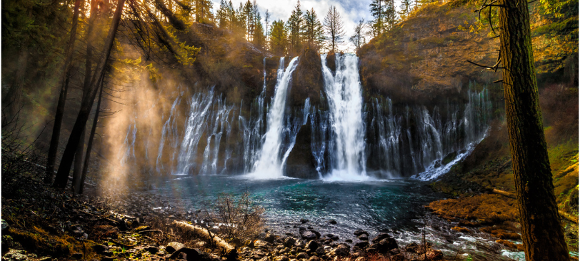 image of waterfall from ground perspective with pine trees at dusk