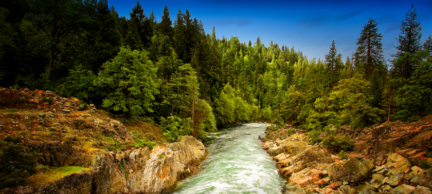image of Yuba river flowing past rocks and pine trees