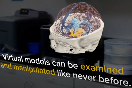 Projected 3D image of a skull.