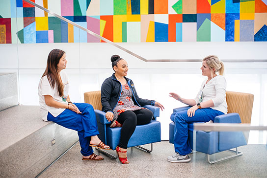 Administrative Appointments and Endowed Chairs