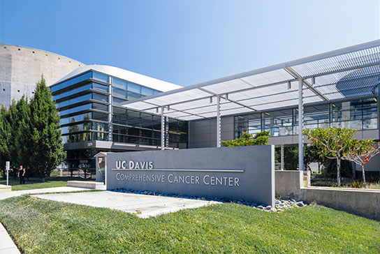 Academic Reappointments