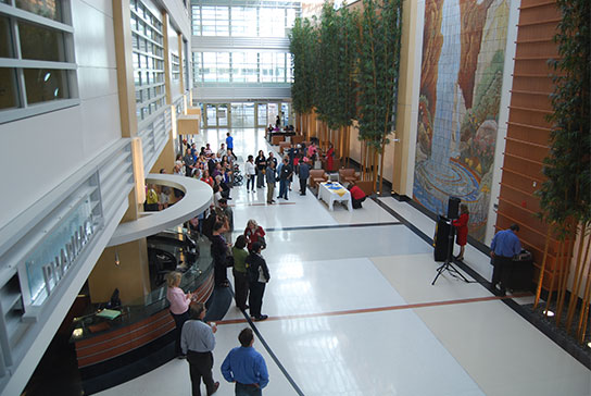 Academic Advancement Actions