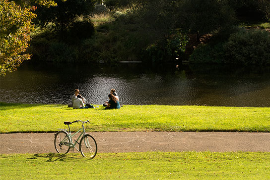Volunteer Clinical Professor