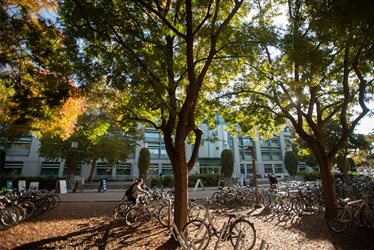 Postdoctoral Scholars