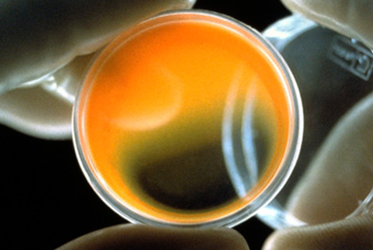 Research image
