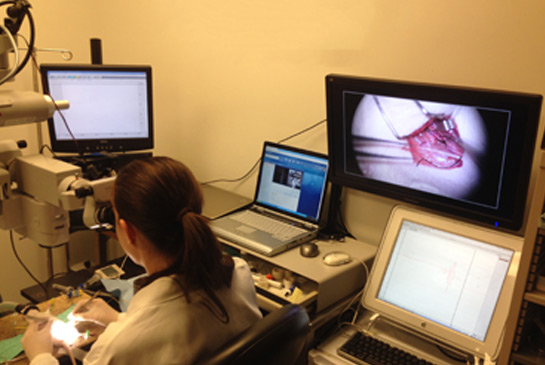 MicroSurgery Core lab image
