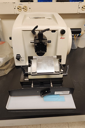 Microtome