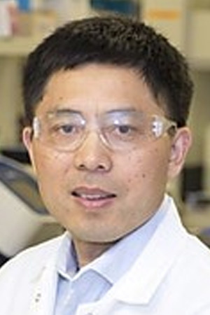 Yang K. Xiang, Ph.D.