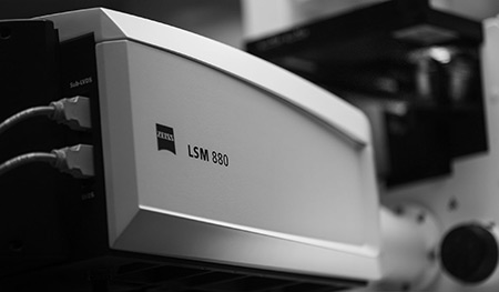 Zeiss LSM 880 with Airyscan Microscope