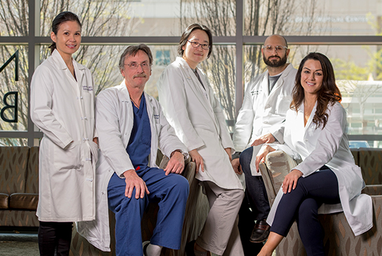 Early Career Faculty