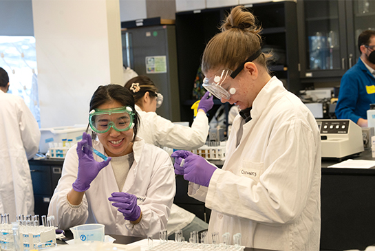 Graduate and Professional Degree Students