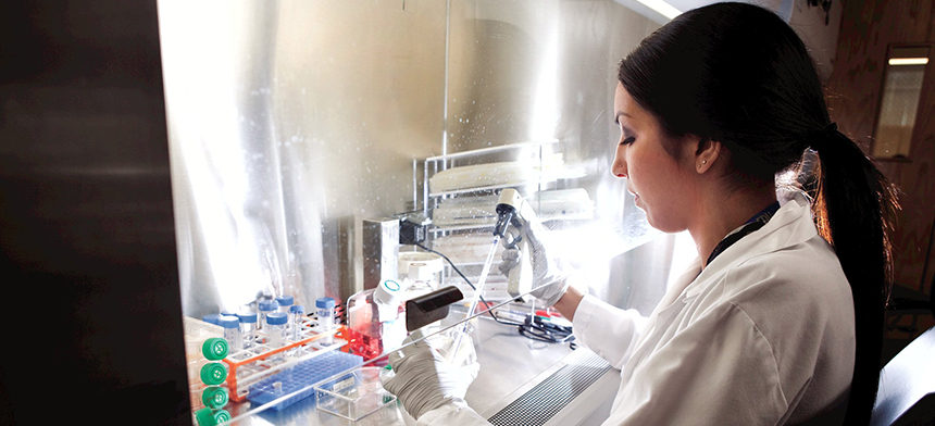 Undergraduate Programs