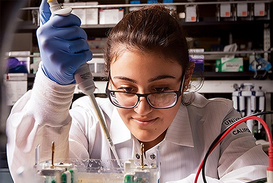 Education, Training and Career Development