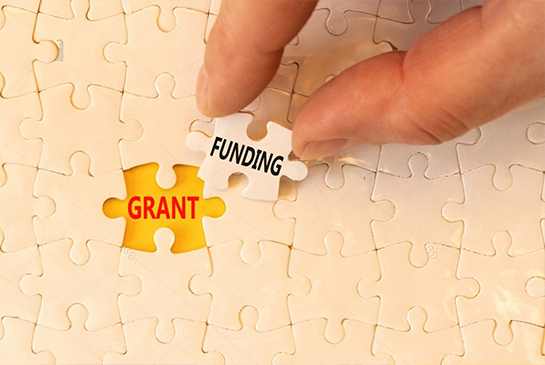 Grant Development and Submission