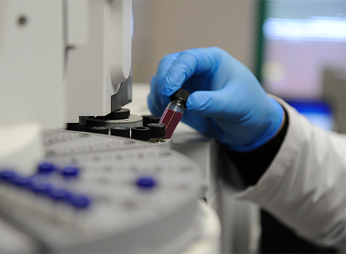 laboratory services
