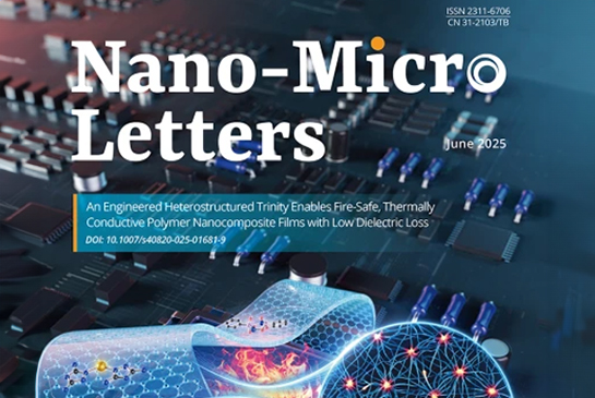 Multifunctional and Scalable Nanoparticles for Bimodal Image-Guided Phototherapy in Bladder Cancer Treatment