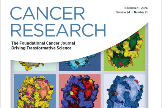 LX1 Dual Targets AR Variants and AKR1C3 in Advanced Prostate Cancer Therapy