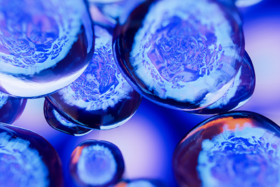 In Vivo Translational Imaging