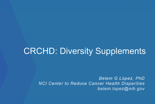 Recent Webinar on Diversity Funding