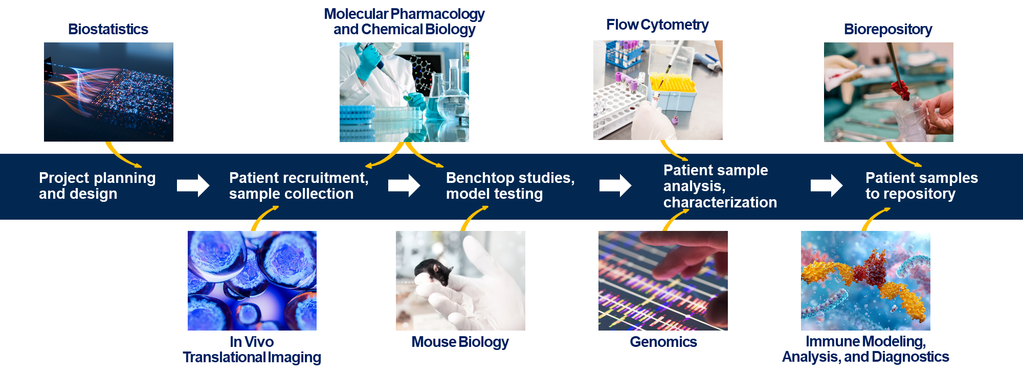 Shared Resources Across the Research Project Life Cycle
