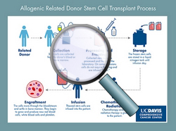Allogeneic: related donor transplant