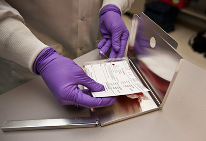 stem-cell-donor-selection