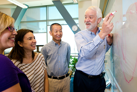 Professor and colleagues working at a whiteboard.