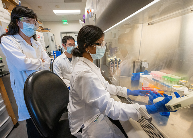 Researchers analyzing evidence.