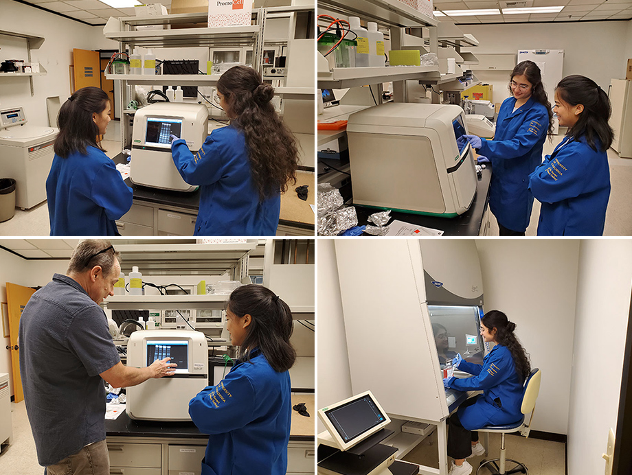 Cell and Molecular Biology Core Lab Images