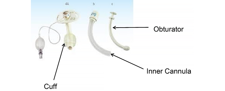 Tracheostomy inner parts