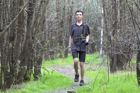 Casey walking in the woods