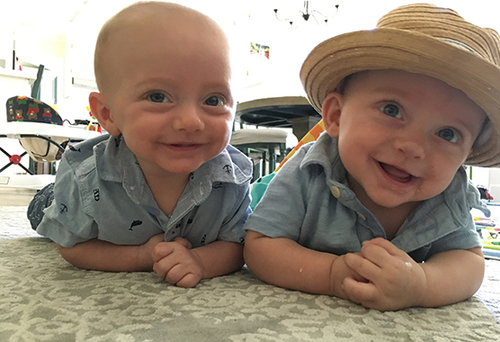 Bodhi and Bear playing together in their home