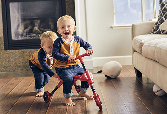 Bodhi and Bear playing together in their home