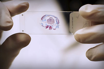 researcher holding slide