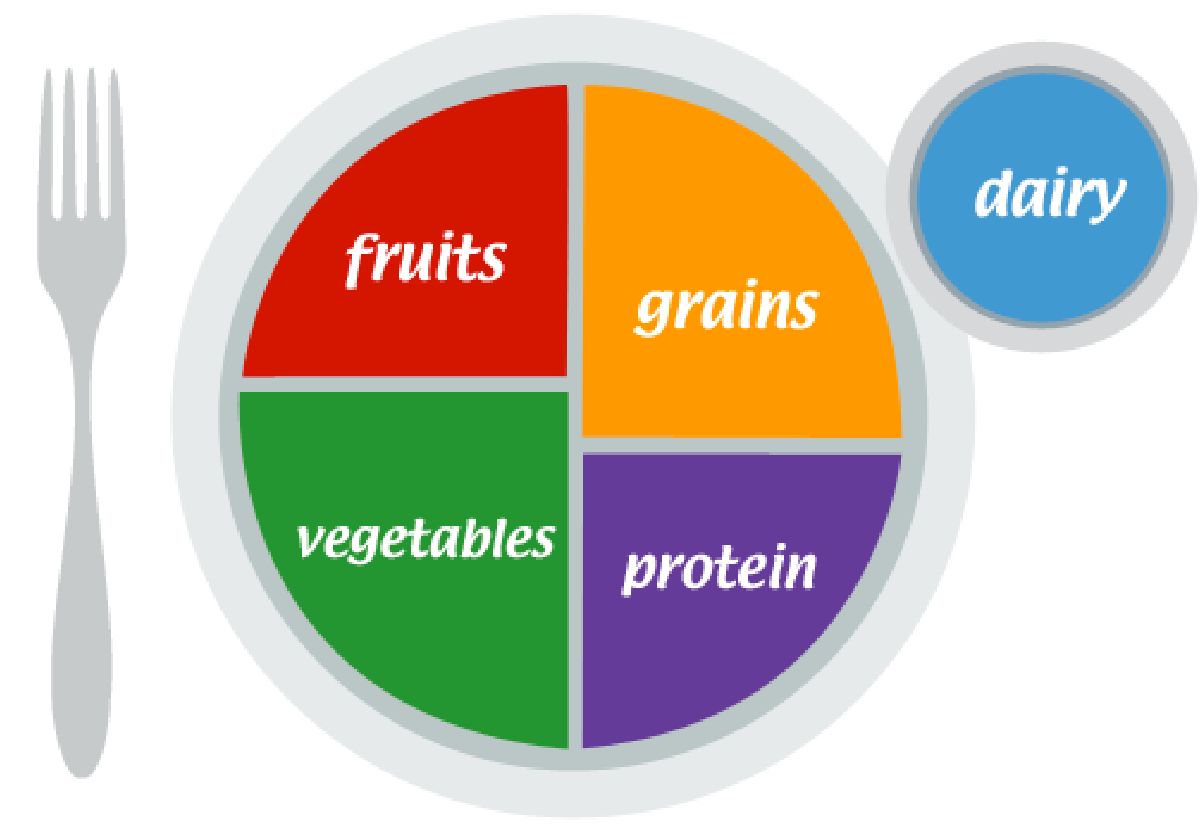 Nutrition Plate