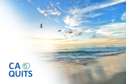 Ocean beach with birds flying above; CA Quits logo in the lower left corner. 